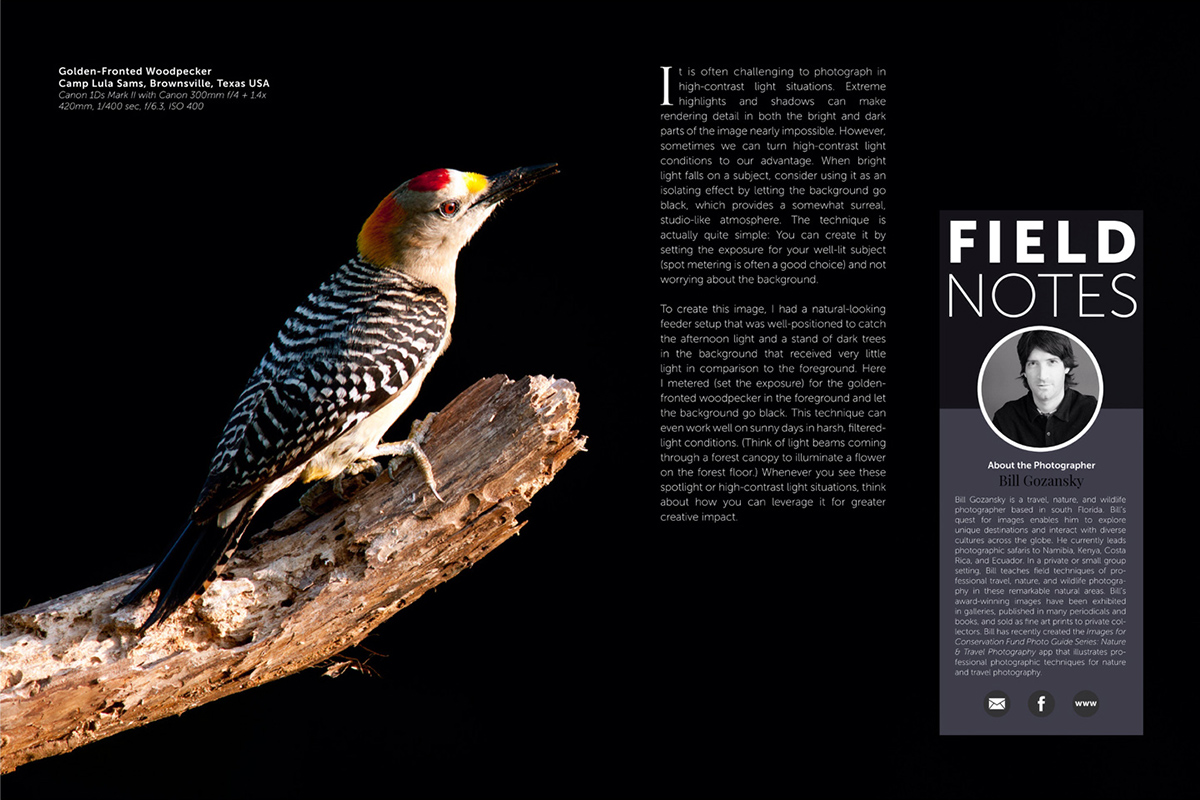 Wildlife Photographic Issue 22: Field Notes