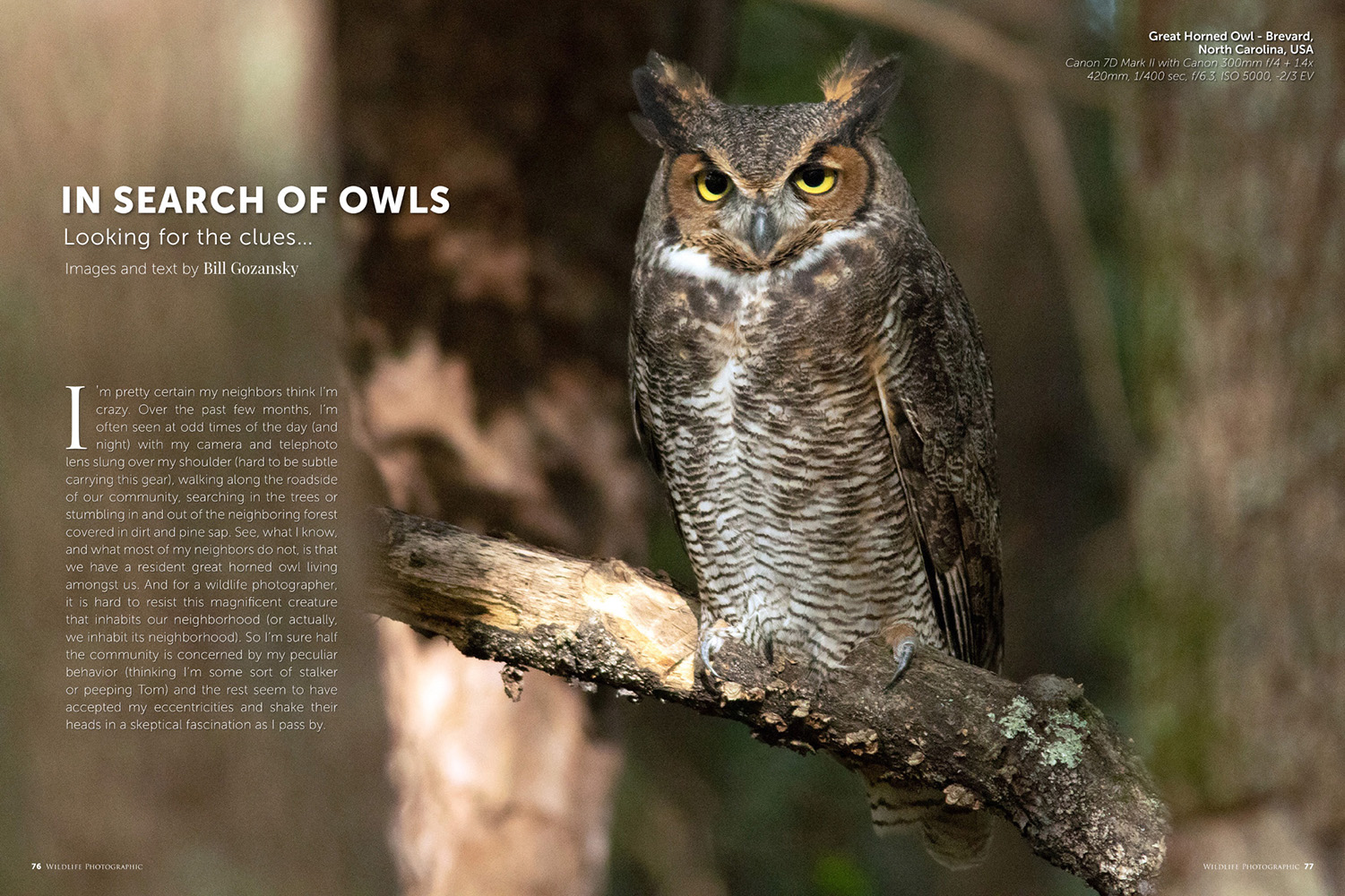 Wildlife Photographic Issue 42