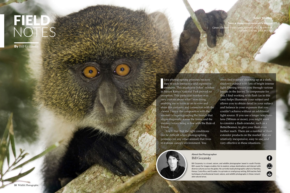 Wildlife Photographic Issue 14