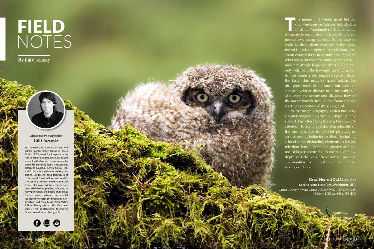 Wildlife Photographic Issue 16