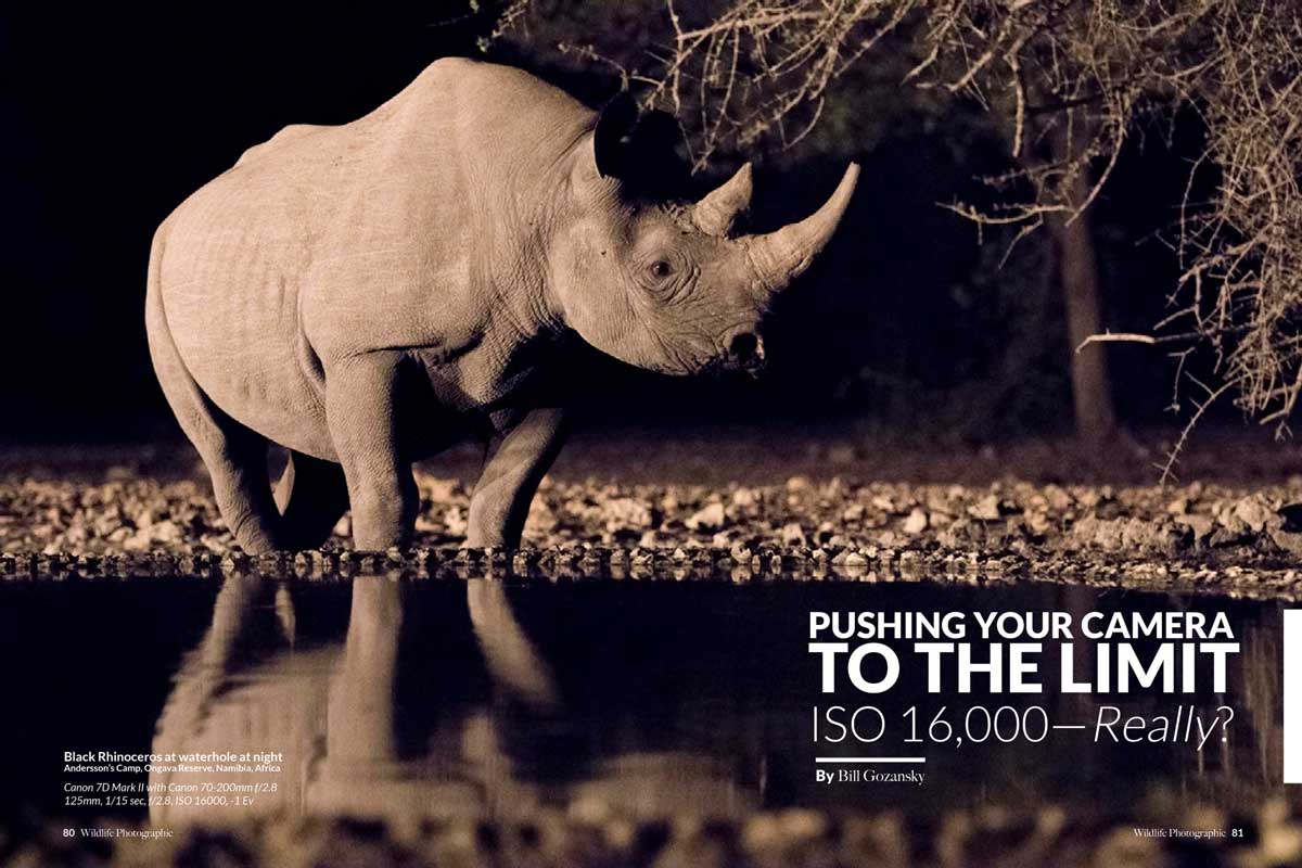 Wildlife Photographic Issue 16