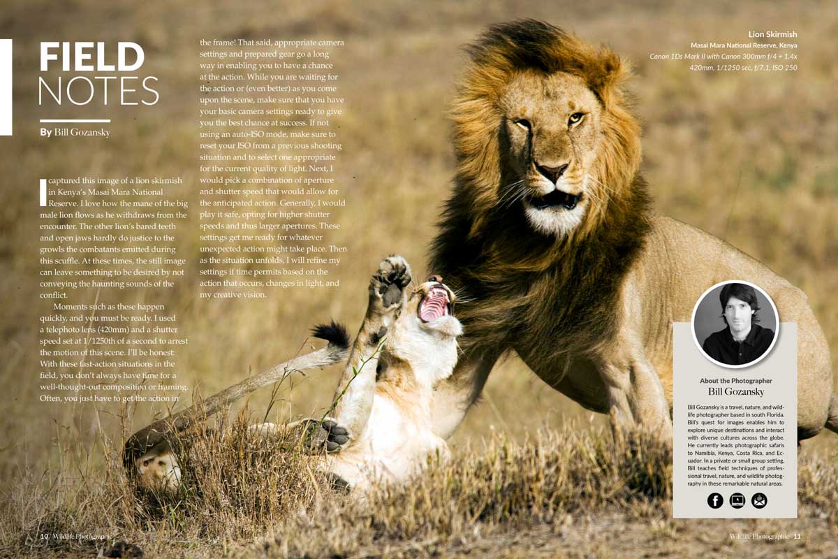 Wildlife Photographic Issue 19