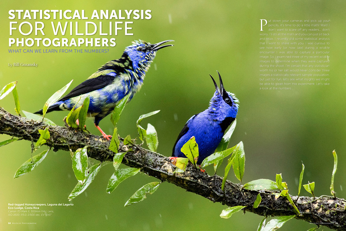 Wildlife Photographic Issue 36