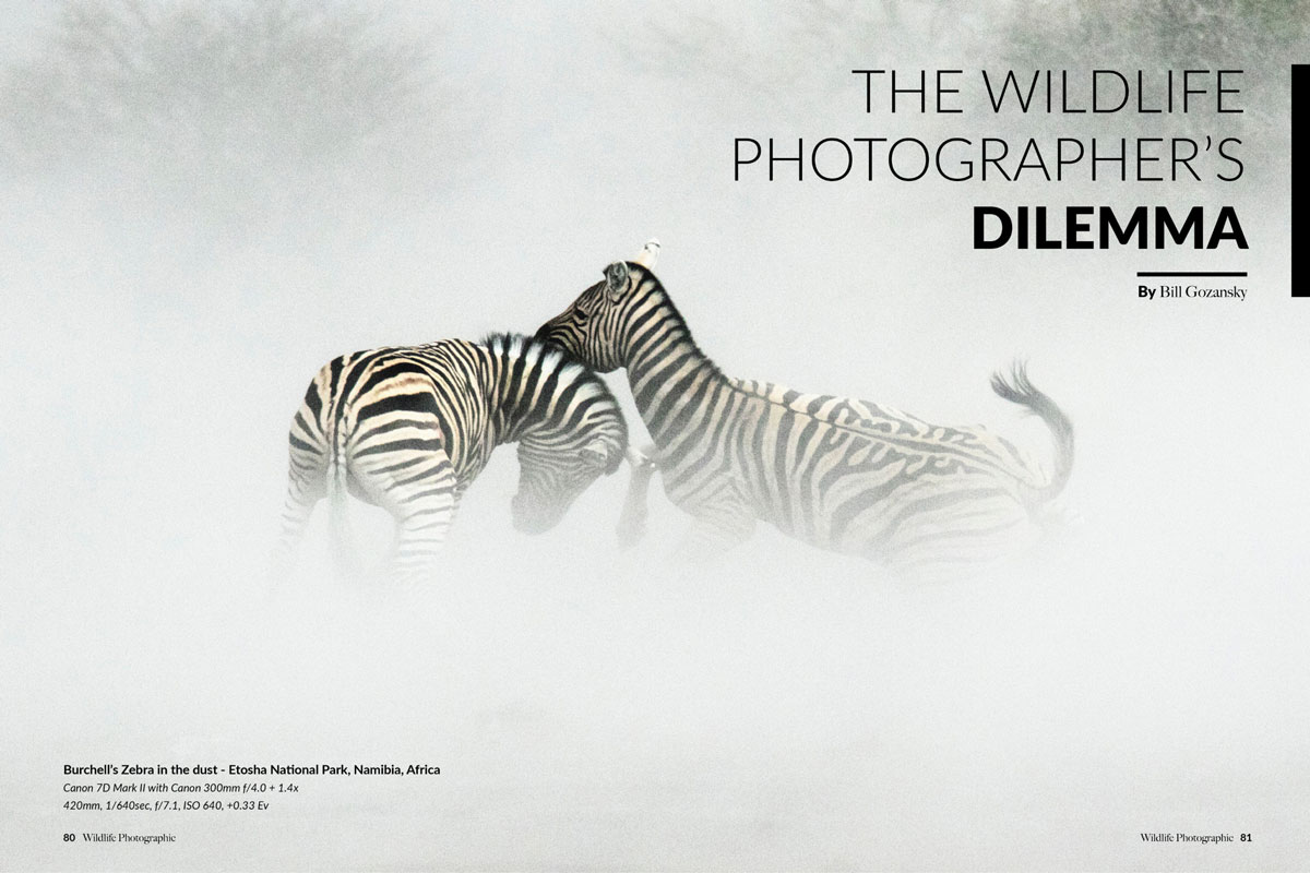 Wildlife Photographic Issue 18