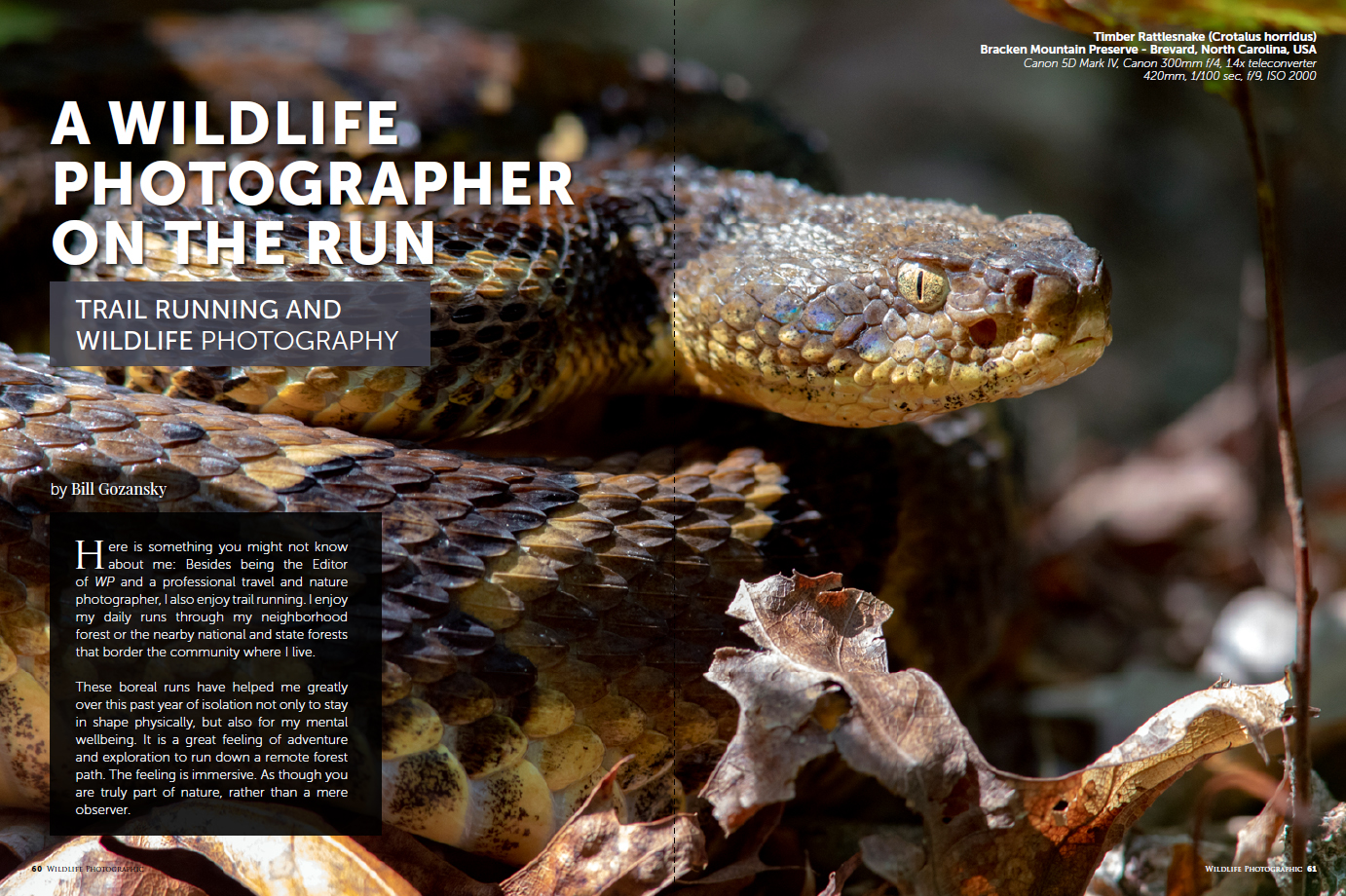 Wildlife Photographic Issue 48