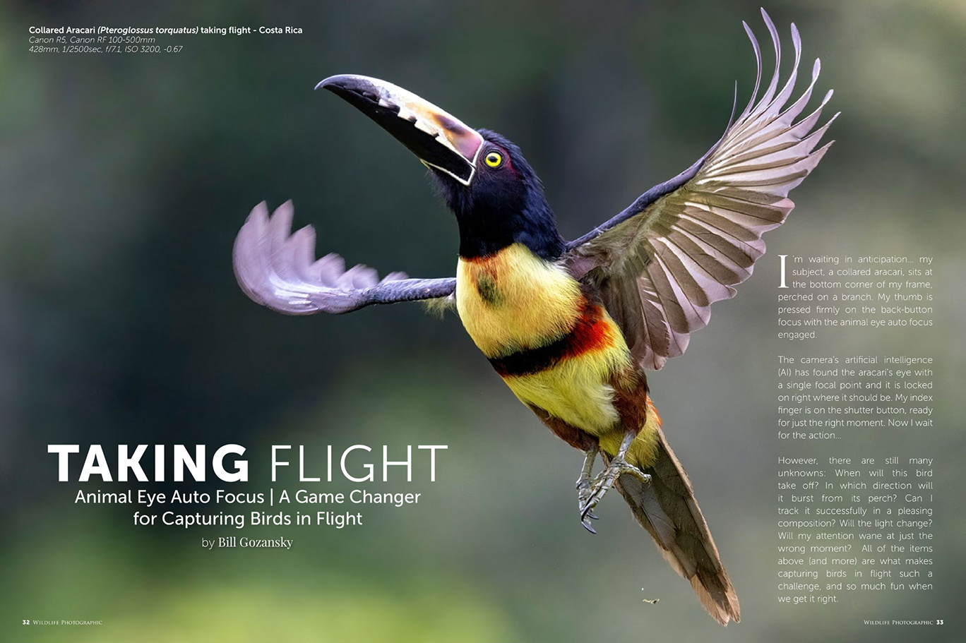 Wildlife Photographic Issue 57