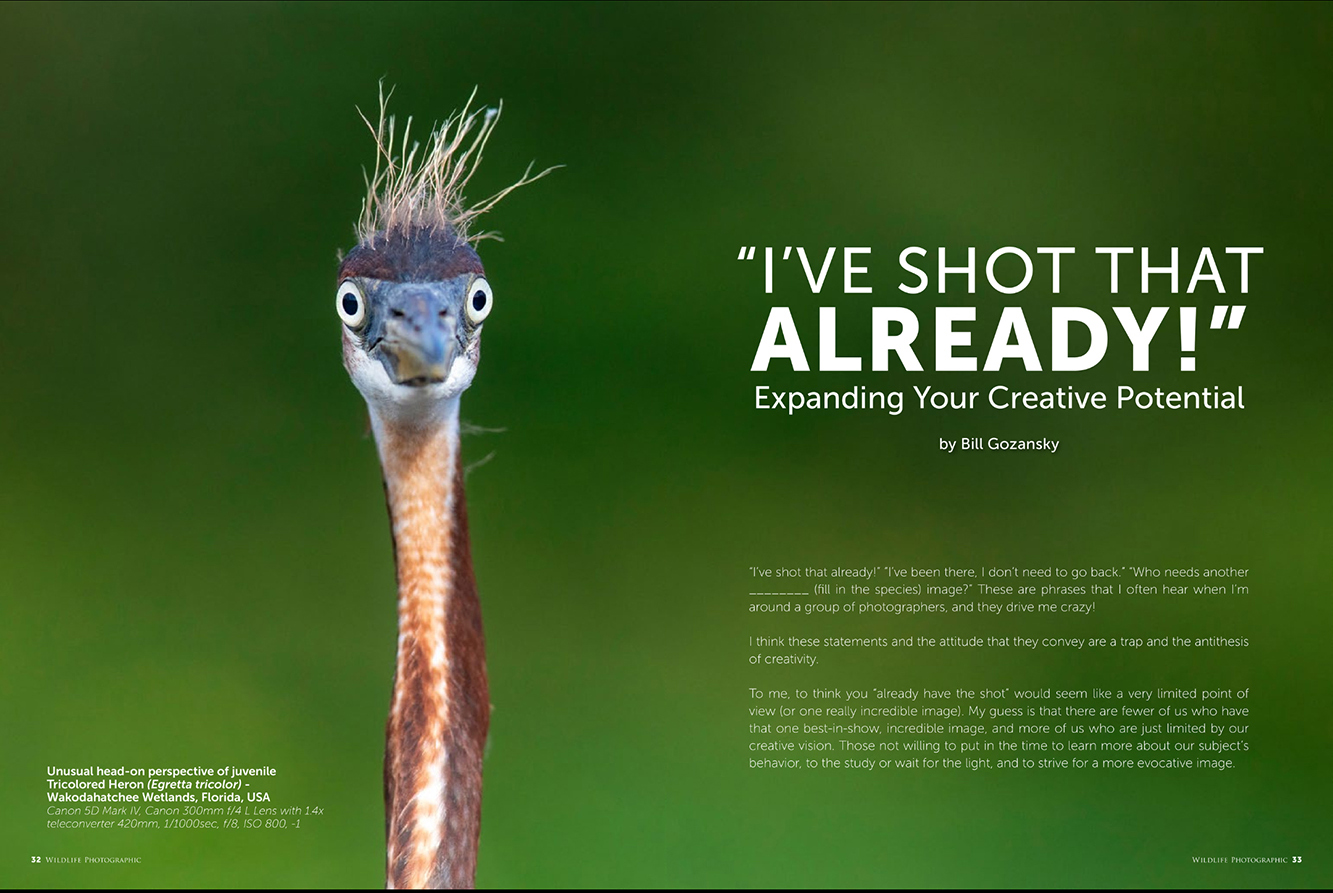 Wildlife Photographic Issue 58