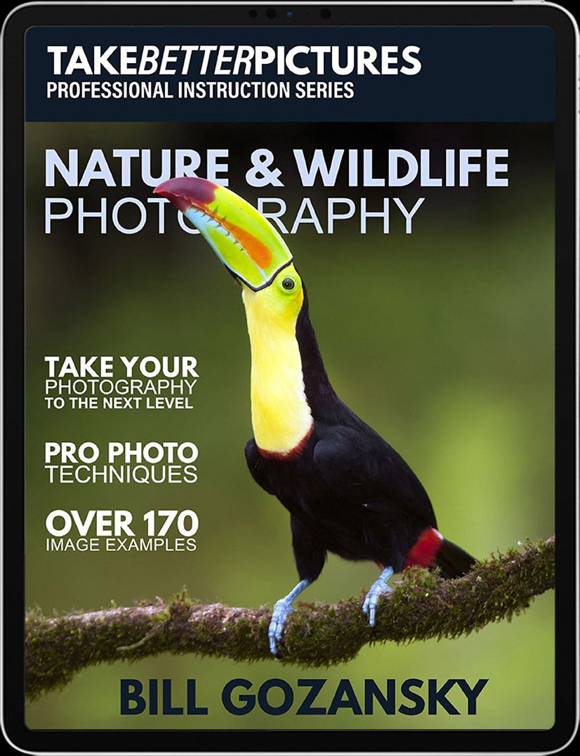 Take Better Pictures - Nature & Wildlife Photography by Bill Gozansky