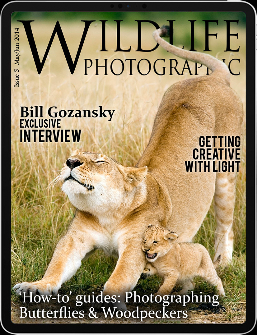 wildlife photographic magazine