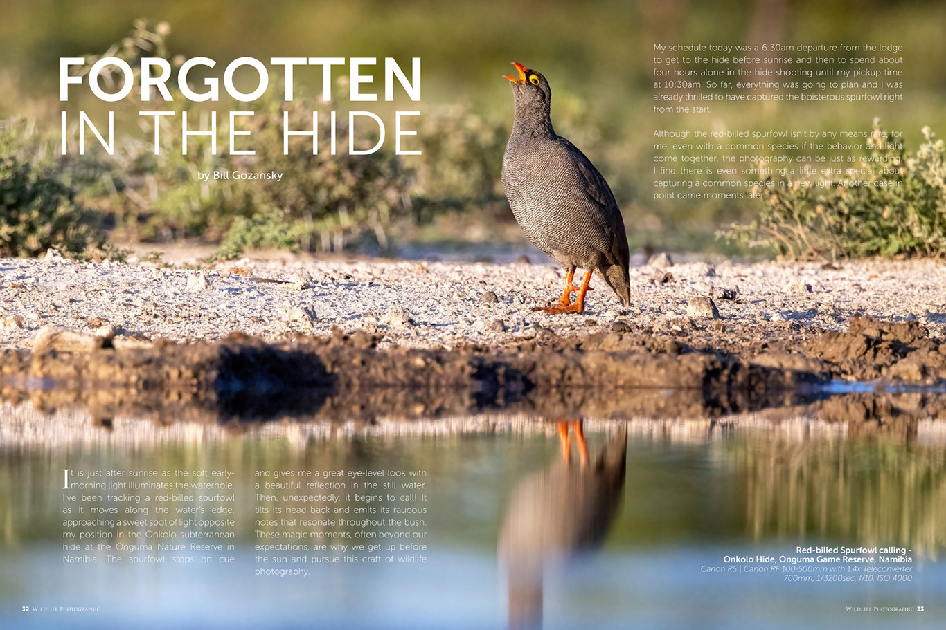 Wildlife Photographic Issue 64