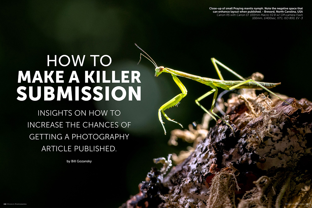 Wildlife Photographic Issue 73