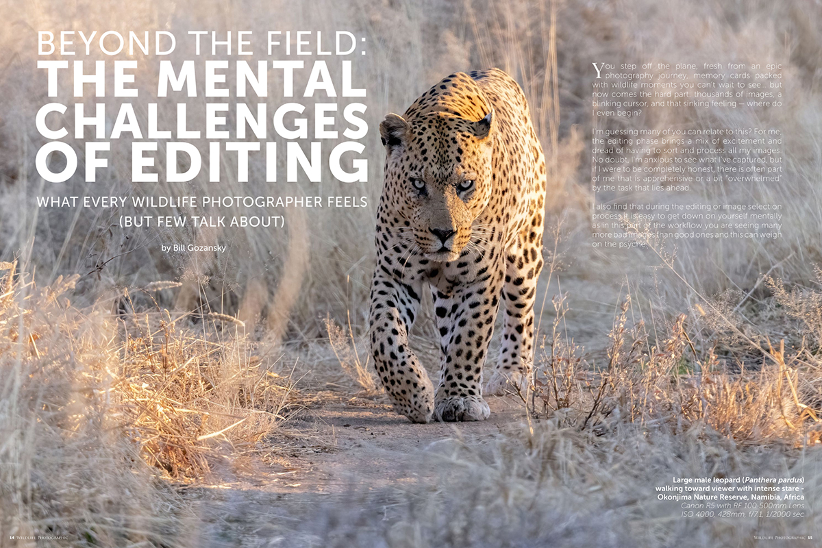 Wildlife Photographic Issue 76