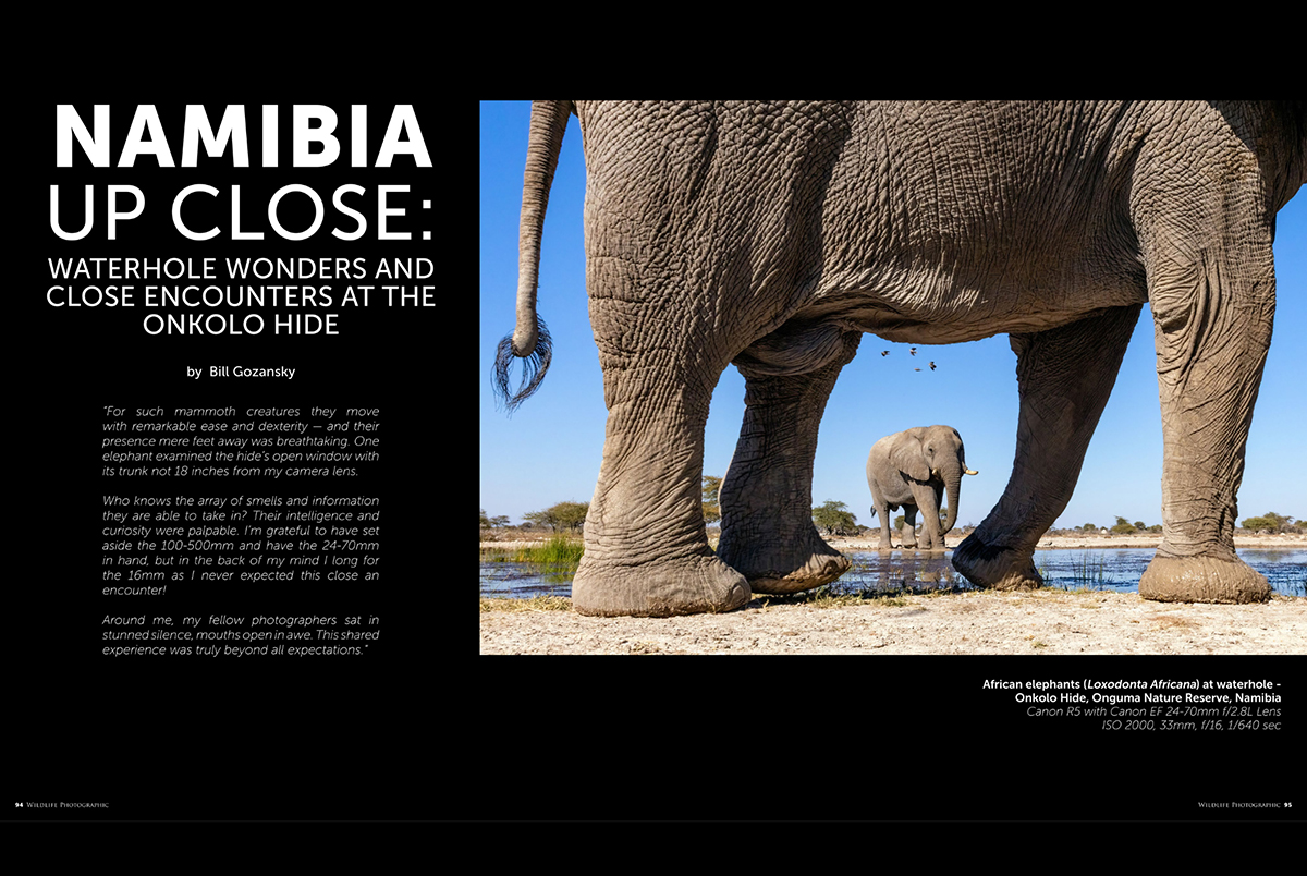 Wildlife Photographic Issue 77