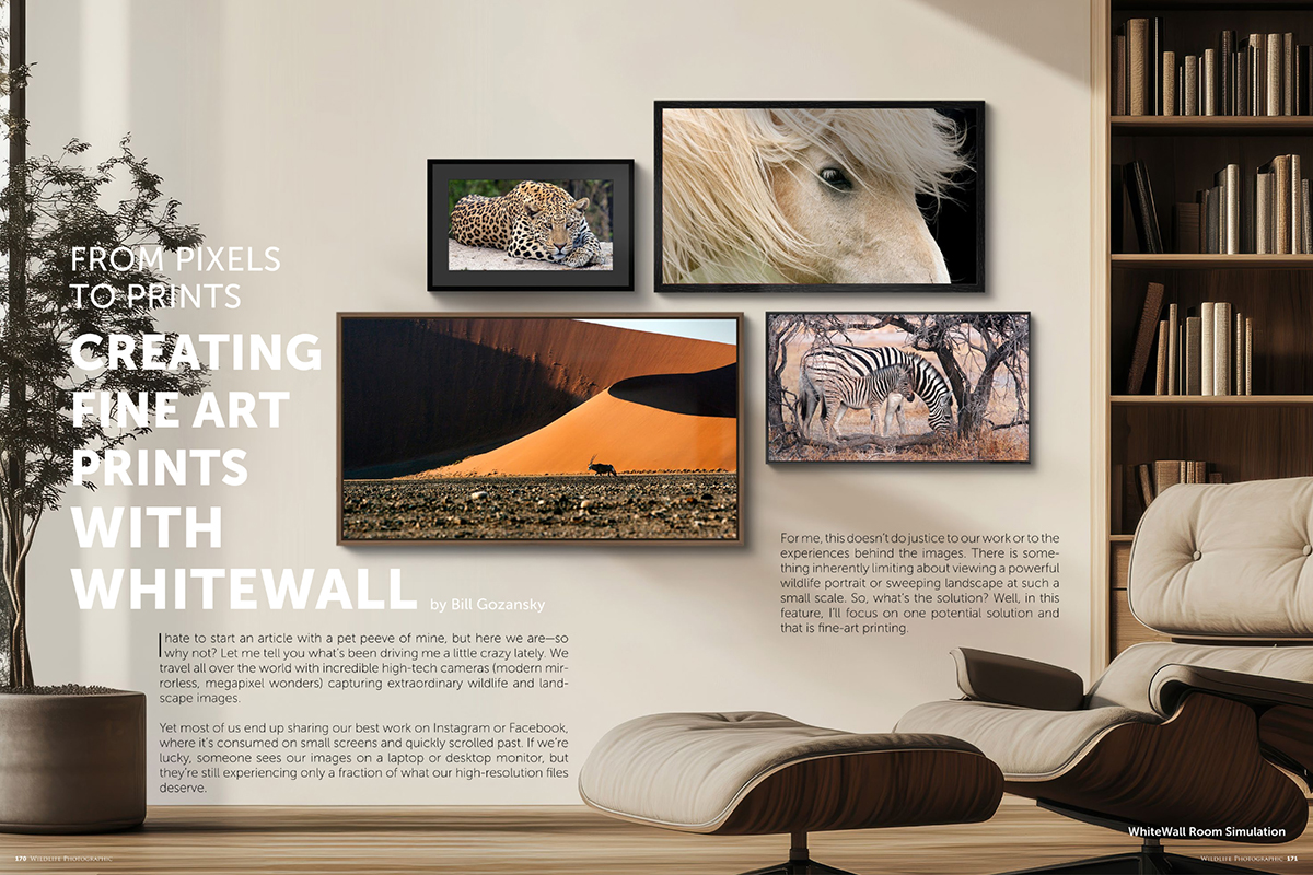 WILDLIFE PHOTOGRAPHIC ISSUE 81